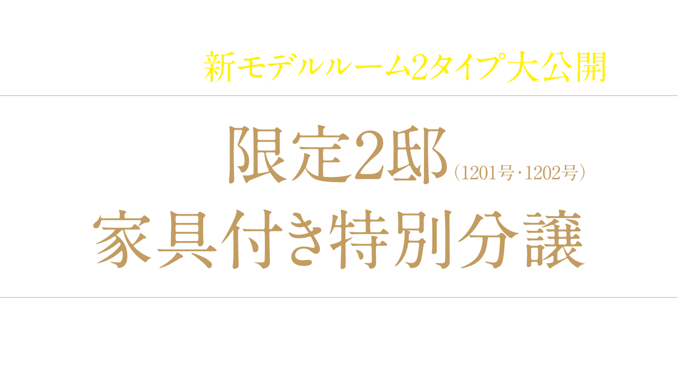 グランドオープン